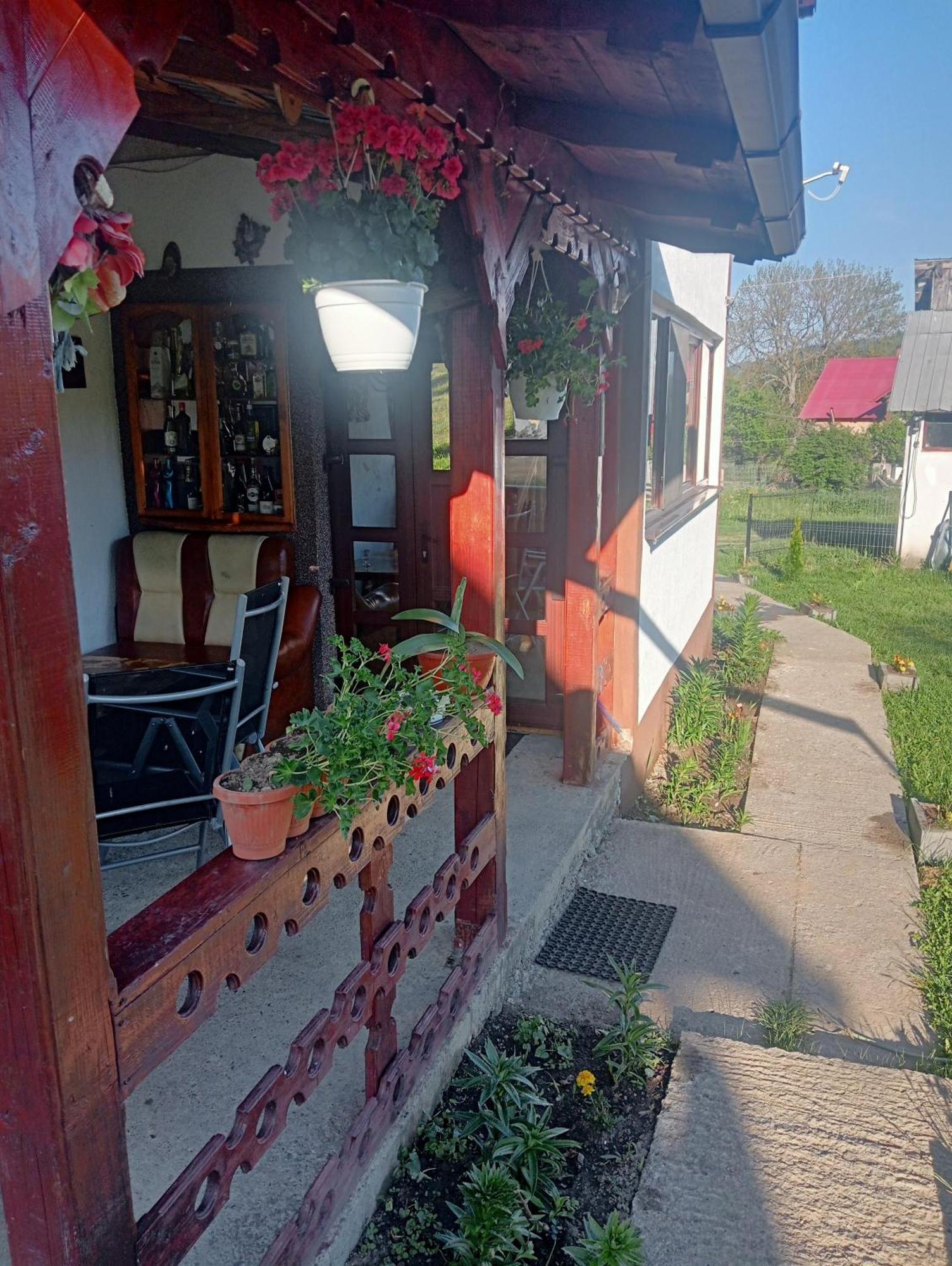 Гостьовий будинок Casa Vasy Ватра-Дорней Екстер'єр фото