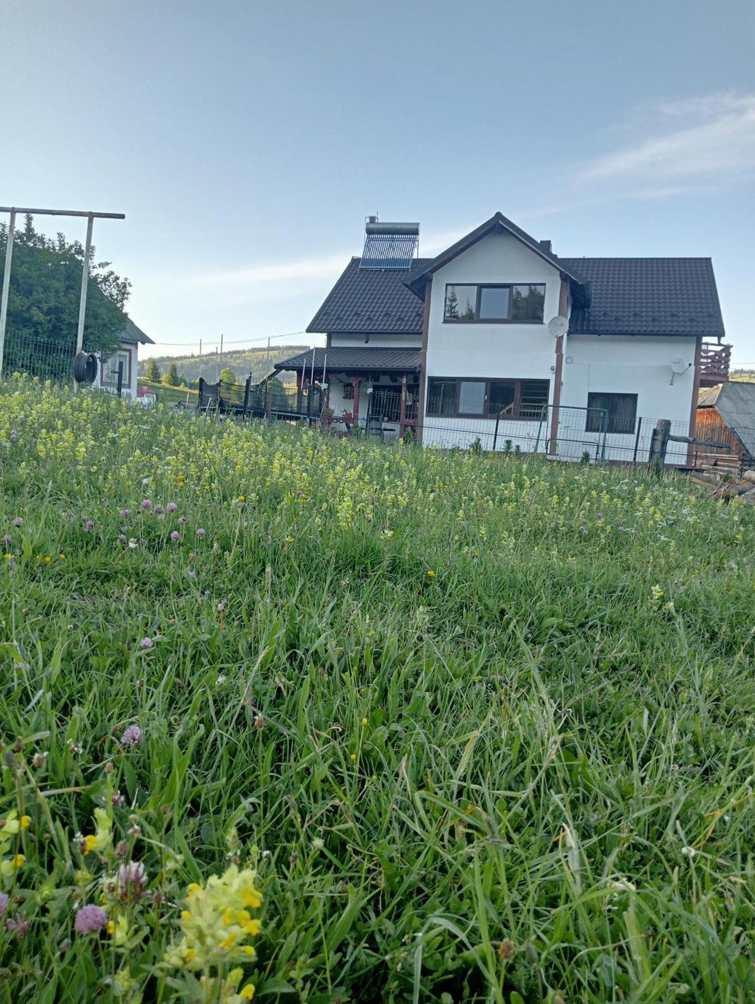 Гостьовий будинок Casa Vasy Ватра-Дорней Екстер'єр фото