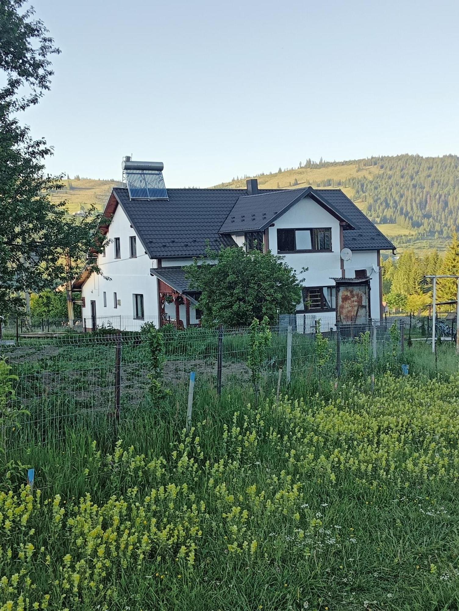 Гостьовий будинок Casa Vasy Ватра-Дорней Екстер'єр фото